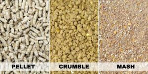 Mash vs Crumble vs Pellet